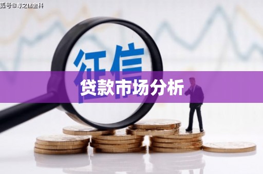 桃园贷款市场分析