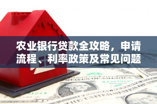 桃园农业银行贷款全攻略，申请流程、利率政策及常见问题解析