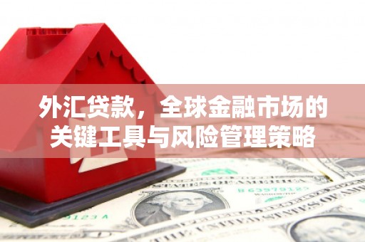 桃园外汇贷款，全球金融市场的关键工具与风险管理策略