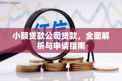 桃园小额贷款公司贷款，全面解析与申请指南