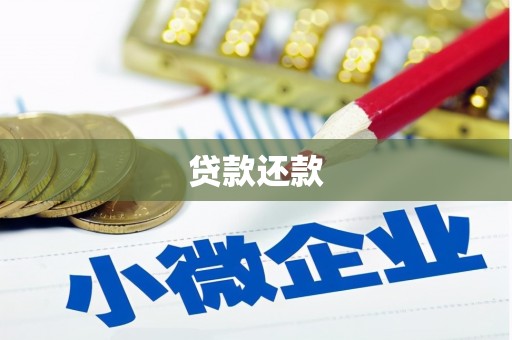 桃园贷款还款