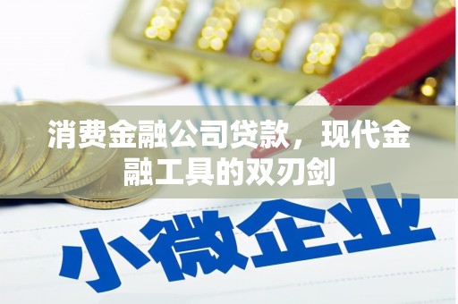 桃园消费金融公司贷款，现代金融工具的双刃剑
