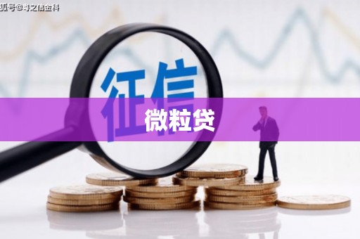 桃园微粒贷