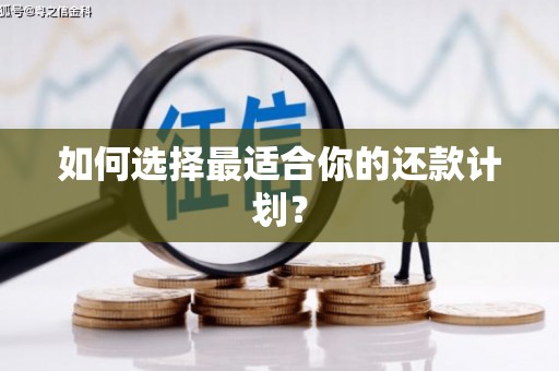桃园如何选择最适合你的还款计划？