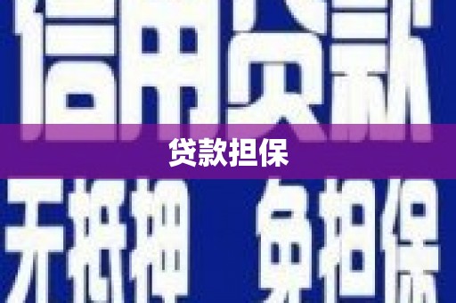 桃园贷款担保