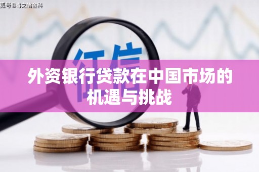 桃园外资银行贷款在中国市场的机遇与挑战