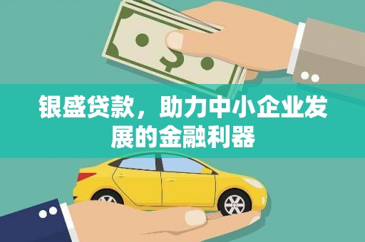 桃园银盛贷款，助力中小企业发展的金融利器