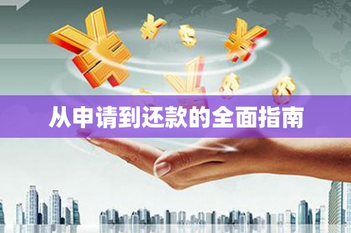 桃园从申请到还款的全面指南