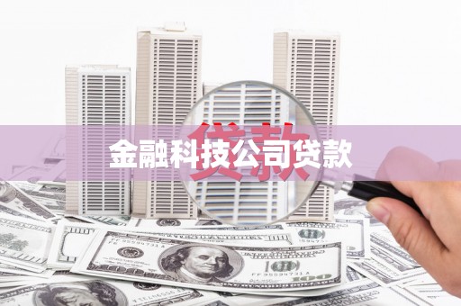 桃园金融科技公司贷款