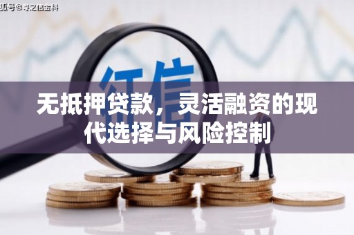 桃园无抵押贷款，灵活融资的现代选择与风险控制