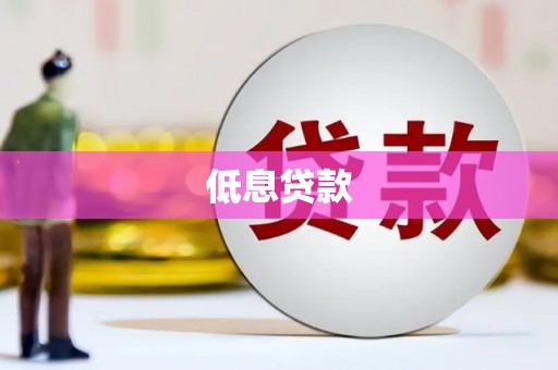桃园低息贷款