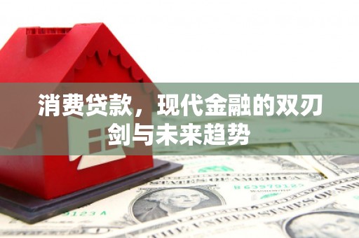 桃园消费贷款，现代金融的双刃剑与未来趋势