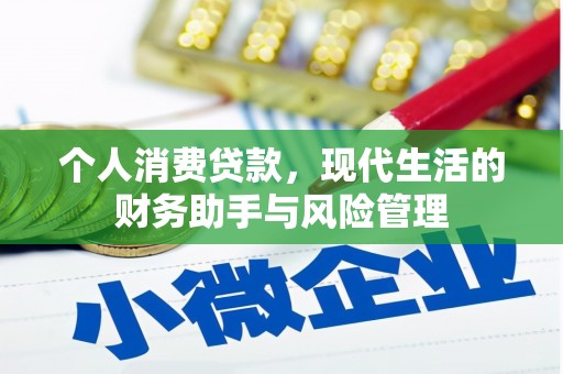 桃园个人消费贷款，现代生活的财务助手与风险管理