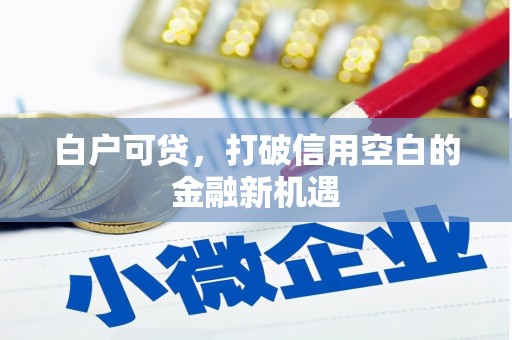桃园白户可贷，打破信用空白的金融新机遇