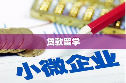 桃园贷款留学