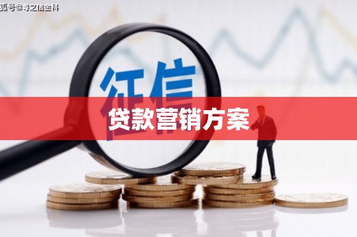 桃园贷款营销方案