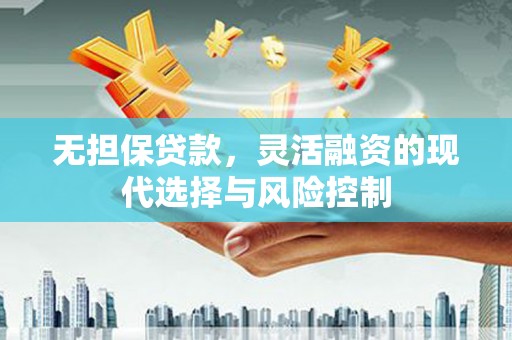 桃园无担保贷款，灵活融资的现代选择与风险控制
