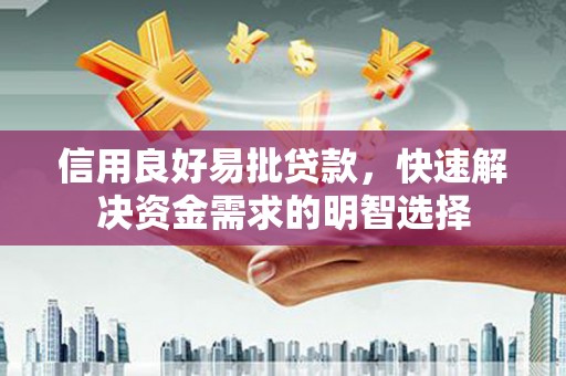桃园信用良好易批贷款，快速解决资金需求的明智选择