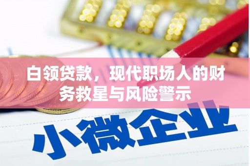 桃园白领贷款，现代职场人的财务救星与风险警示