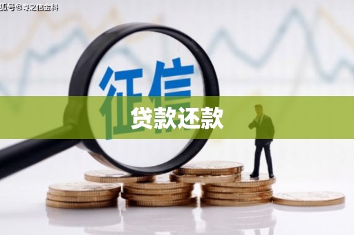 桃园贷款还款