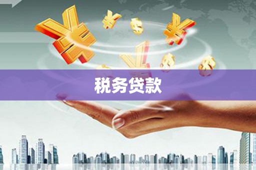 桃园税务贷款