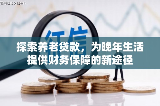 桃园探索养老贷款，为晚年生活提供财务保障的新途径