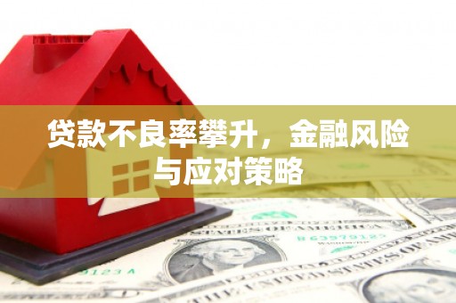 桃园贷款不良率攀升，金融风险与应对策略