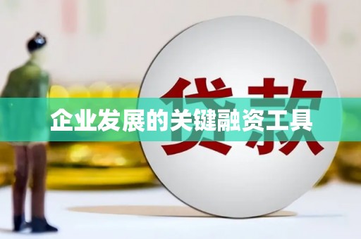 桃园企业发展的关键融资工具