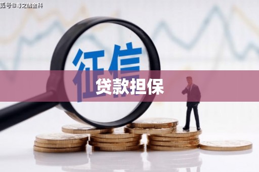 桃园贷款担保