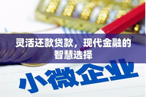桃园灵活还款贷款，现代金融的智慧选择