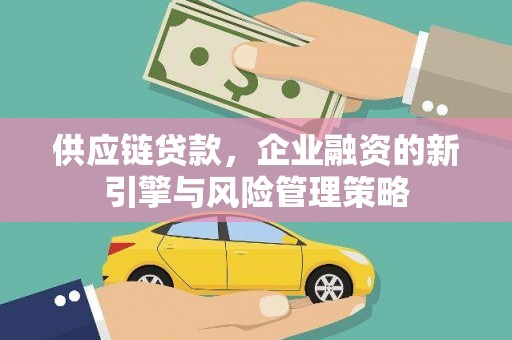 桃园供应链贷款，企业融资的新引擎与风险管理策略