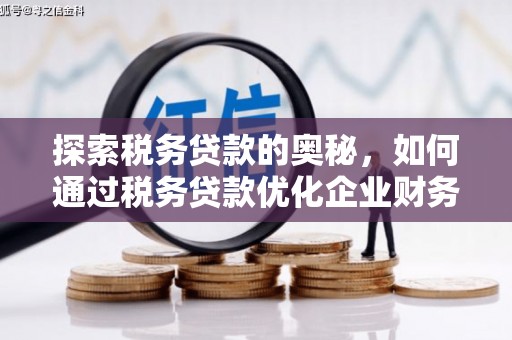 桃园探索税务贷款的奥秘，如何通过税务贷款优化企业财务