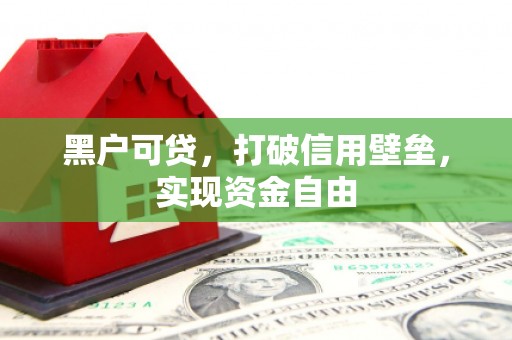 桃园黑户可贷，打破信用壁垒，实现资金自由