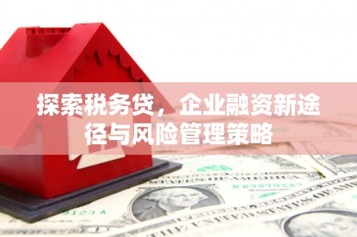 桃园探索税务贷，企业融资新途径与风险管理策略