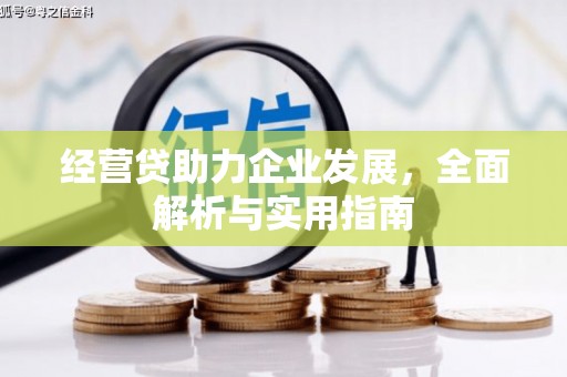 桃园经营贷助力企业发展，全面解析与实用指南