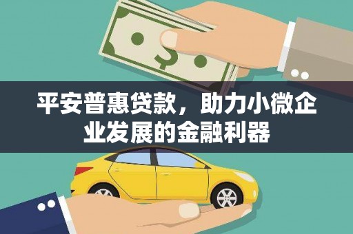 桃园平安普惠贷款，助力小微企业发展的金融利器