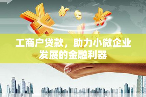 桃园工商户贷款，助力小微企业发展的金融利器