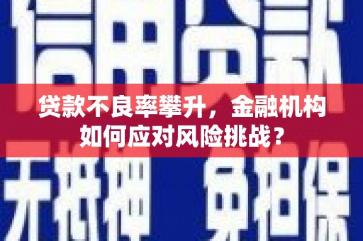 桃园贷款不良率攀升，金融机构如何应对风险挑战？