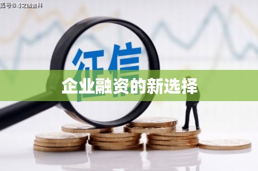 桃园企业融资的新选择