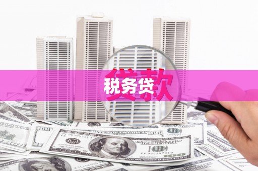 桃园税务贷