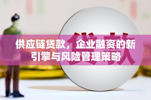 桃园供应链贷款，企业融资的新引擎与风险管理策略