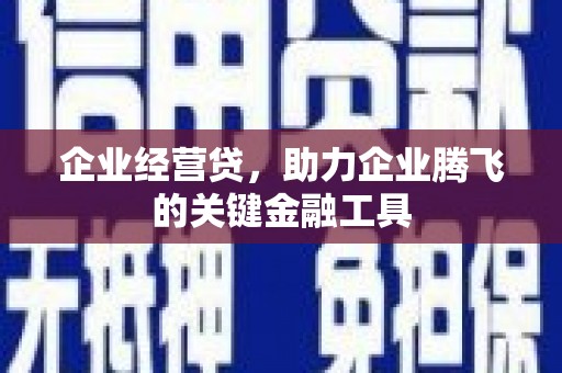 桃园企业经营贷，助力企业腾飞的关键金融工具