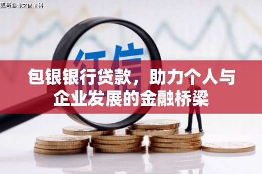 桃园包银银行贷款，助力个人与企业发展的金融桥梁