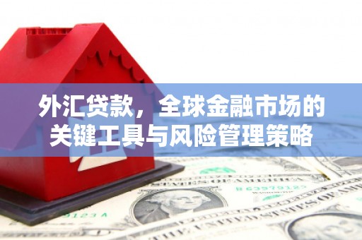 桃园外汇贷款，全球金融市场的关键工具与风险管理策略