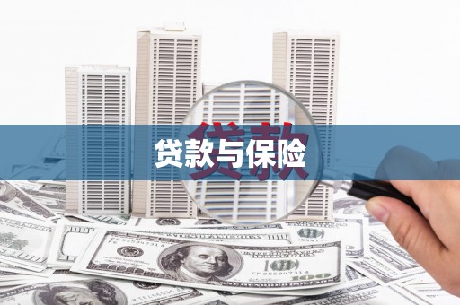 桃园贷款与保险