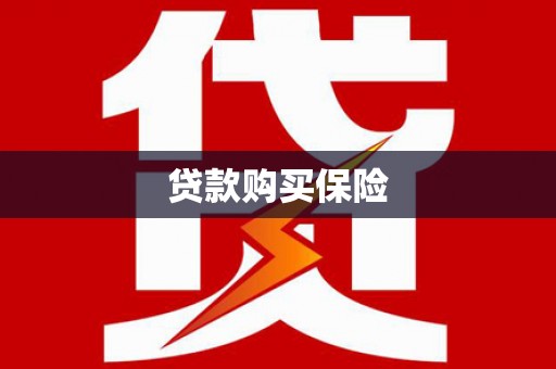 桃园贷款购买保险