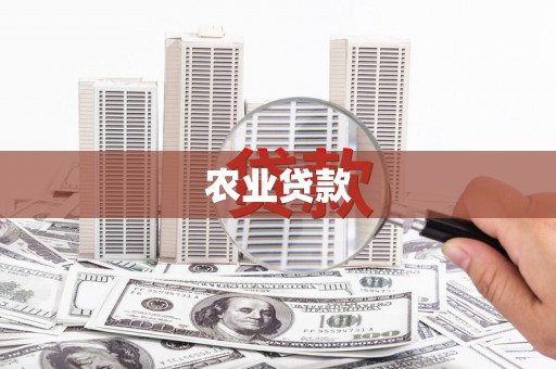 桃园农业贷款