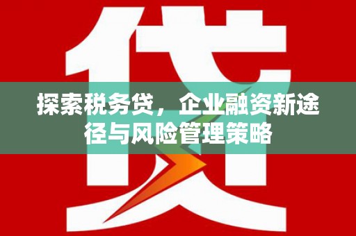 桃园探索税务贷，企业融资新途径与风险管理策略
