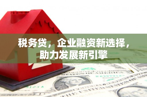 桃园税务贷，企业融资新选择，助力发展新引擎