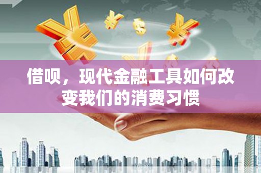 桃园借呗，现代金融工具如何改变我们的消费习惯